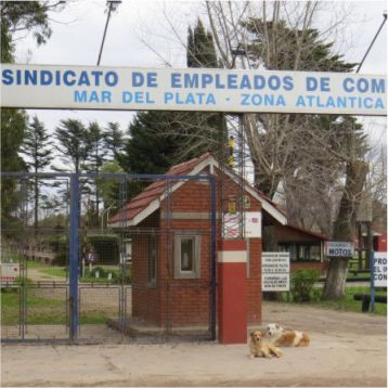 Además