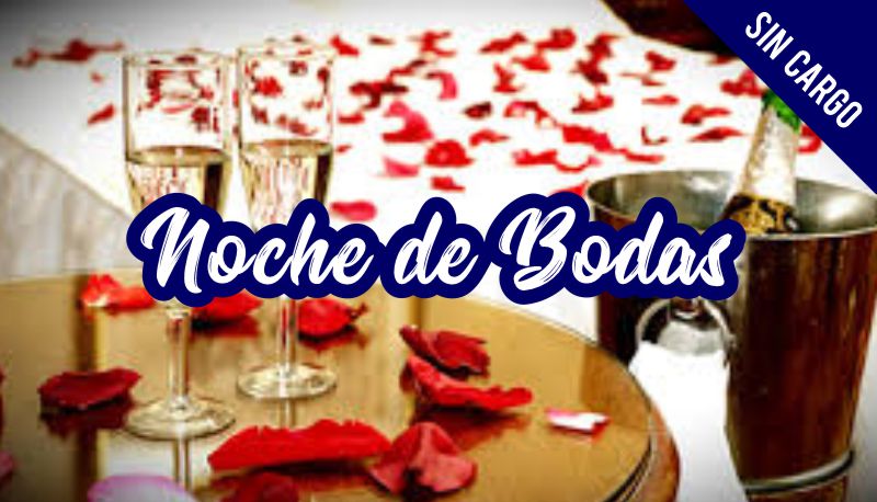 Noche de bodas
